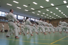 IMG_6015